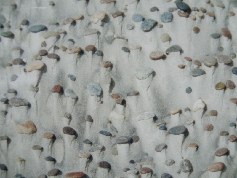Plaża - kamienie wymywane z piasku