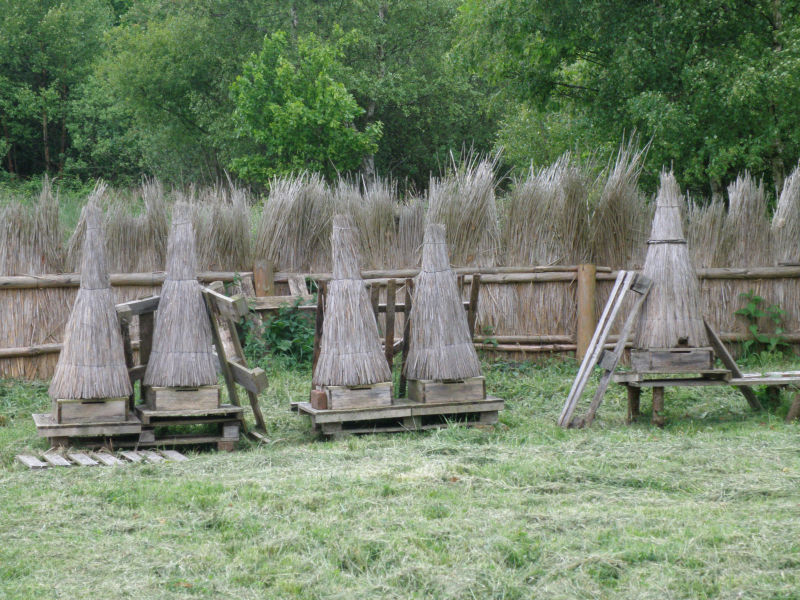 Skansen w Klukach - pasieka i to zasiedlona przez pszczoły