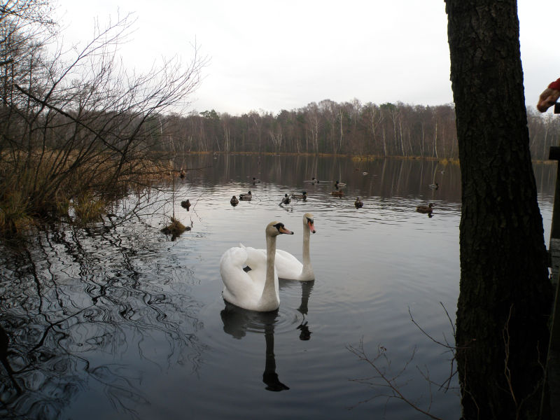 Mazowiecki Park Krajobrazowy