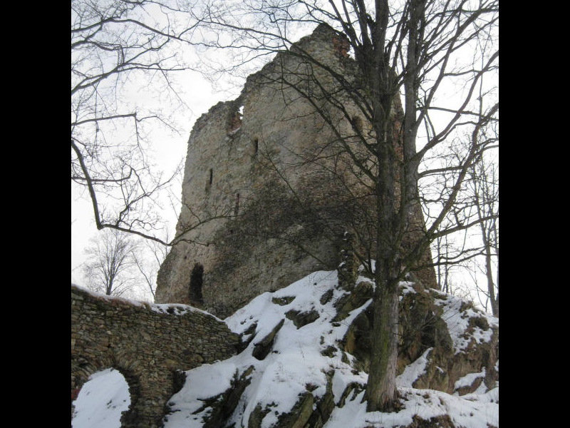 Zamek Świecie koło Leśnej