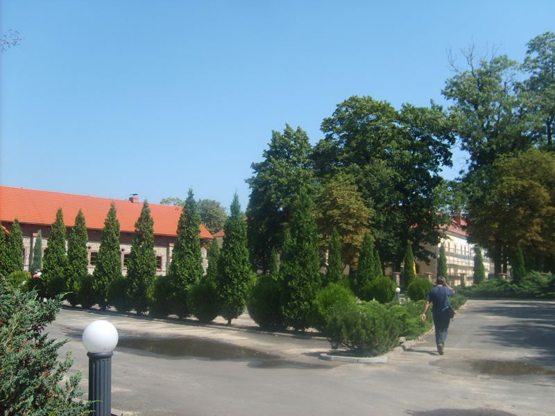 Stare Tarnowice - zamek