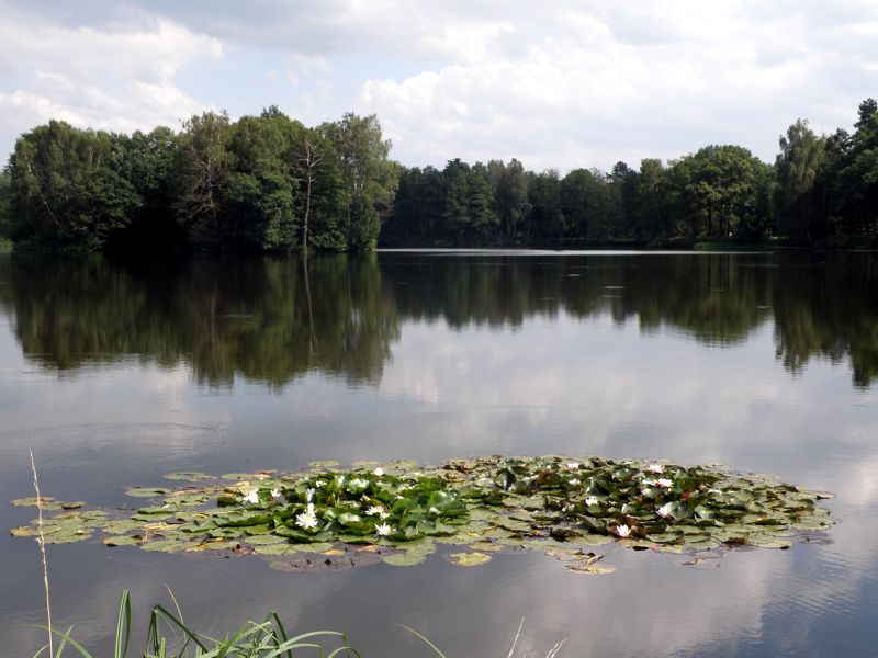 Świerklaniec - Pałac i okolice