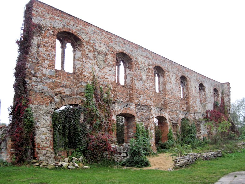 Pozostałości klasztoru