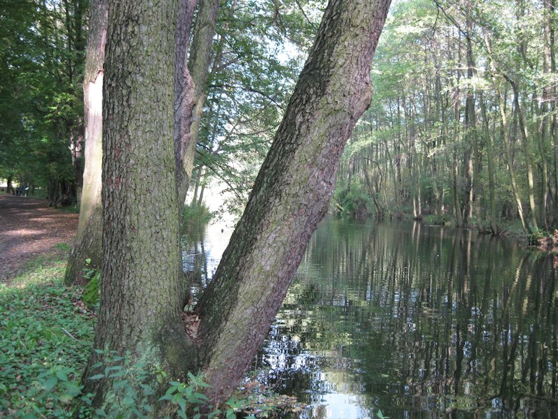 Rezerwat Niebieskie Źródła