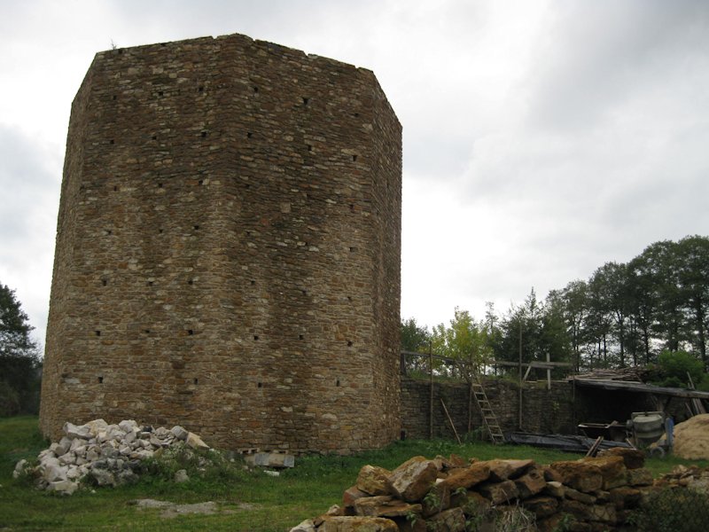 Zamek podczas odbudowy w 2010 roku