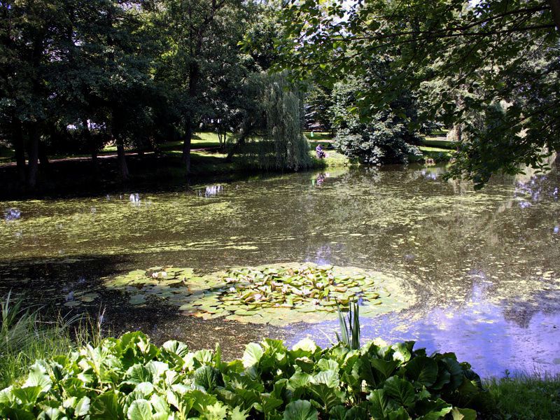 Piękny park przy pałacu