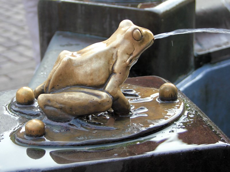…  żaba z jego fontanny