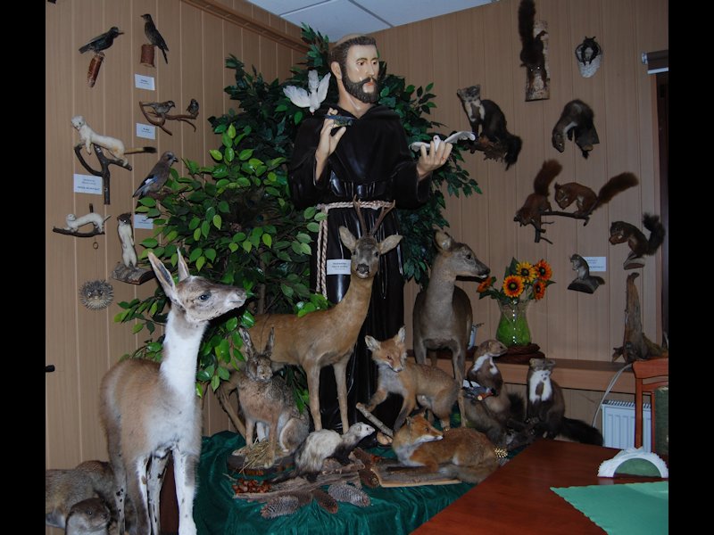 postać św.Franciszka ,opiekuna zwierząt