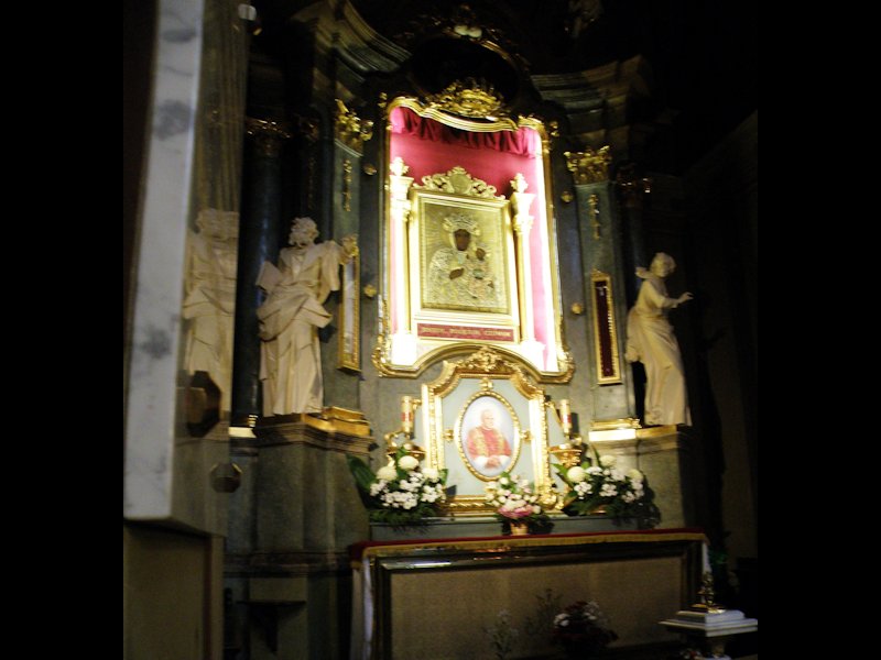 Katedra Łacińska - obraz MB Łaskawej zw.Śliczną Gwiazdą miasta Lwowa