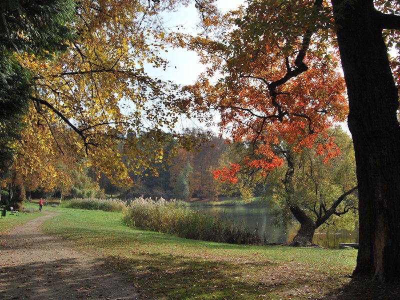 park zamkowy uspasabia do romantycznych spacerów