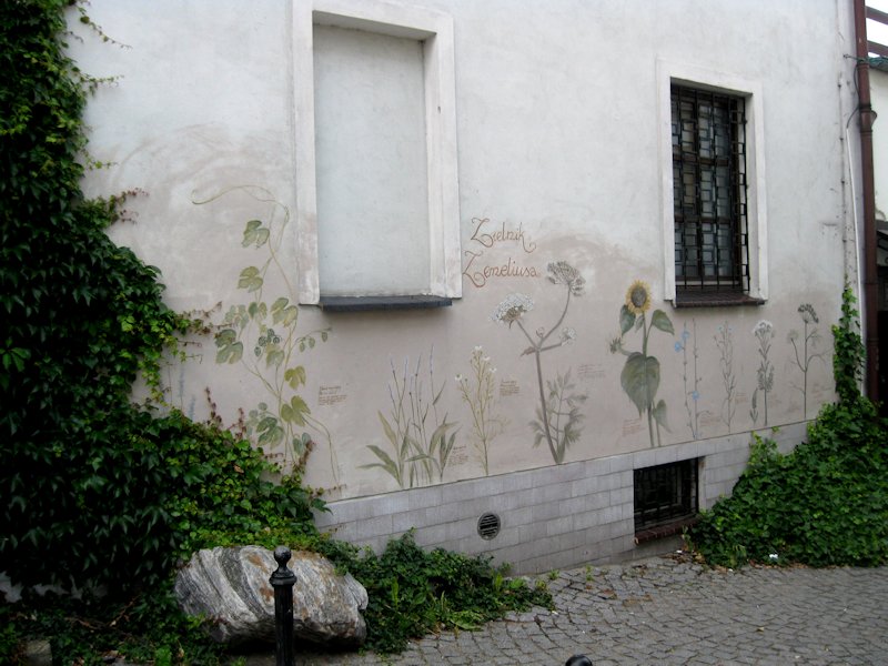 niecodzienne graffiti