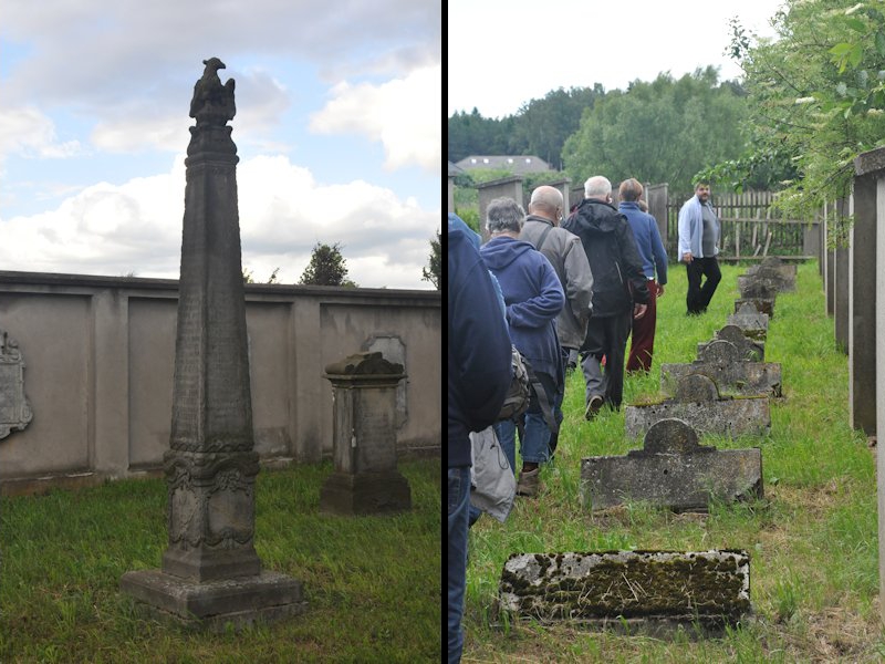 Zgromadzono cenniejsze nagrobki z likwidowanych i opuszczonych cmentarzy. Pochodzą one m.in. z Kucowa, Sielc koło Staszowa, Wielkanocy koło Krakowa, Taboru koło Sycowa