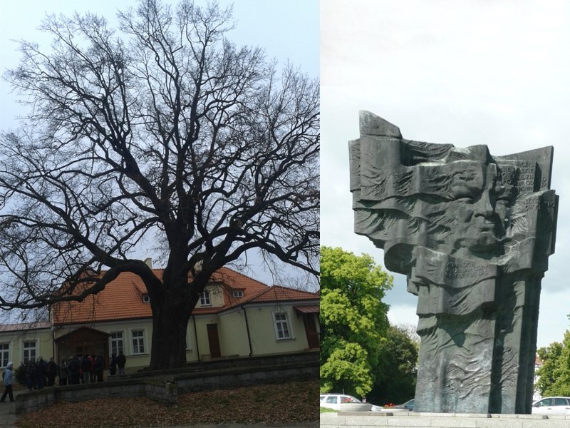 Pomnikowy dąb im.Broniewskiego i pomnik Władysława Broniewskiego