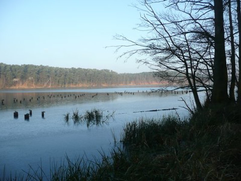 Obramowane lasem jezioro ma powierzchnię ok. 50 ha...