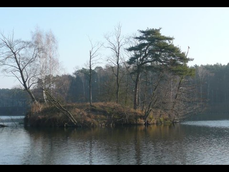 Nie tylko bobry upodobały sobie tą okolicę...