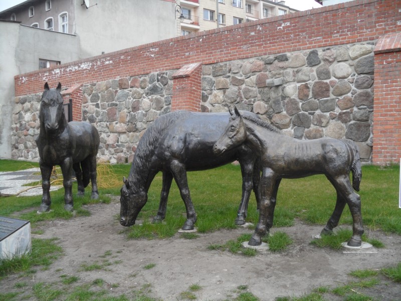 ...by po chwili dostrzec pod murami obronnymi miasta pasące się konie sztumskie