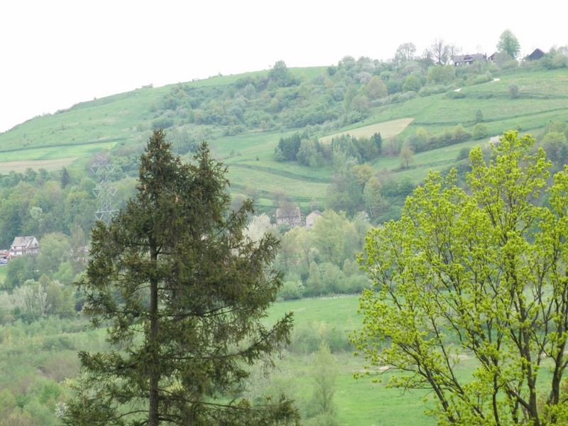 Kierujemy si w stron Gry Borek 302 m npm w Stradomce