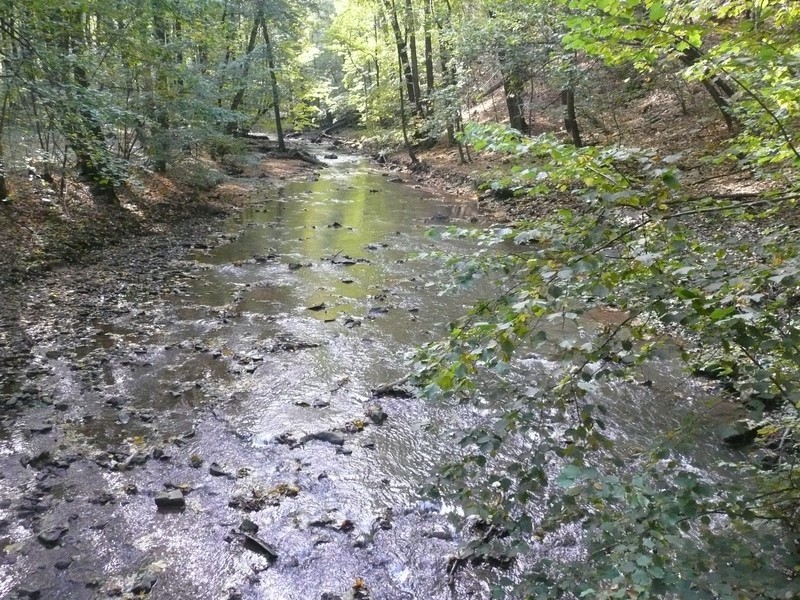 Po opuszczeniu ruin Starego Książa, przekroczyliśmy nurt Pełcznicy