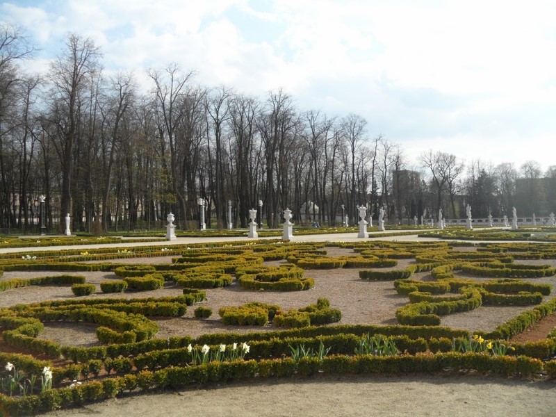 Ogród Branickich w części francuskiej jest kompozycją roślinnych wzorów uformowanych z bukszpanu