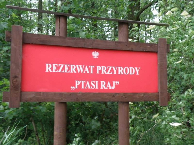 Udajemy się do rezerwatu przyrody PTASI RAJ w Górkach Wsch