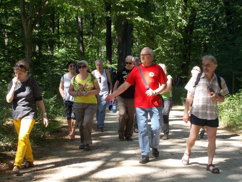 Można zwiedzać go pieszo, rowerem lub - na wzór księcia - konno. My wybraliśmy pierwszą wersję