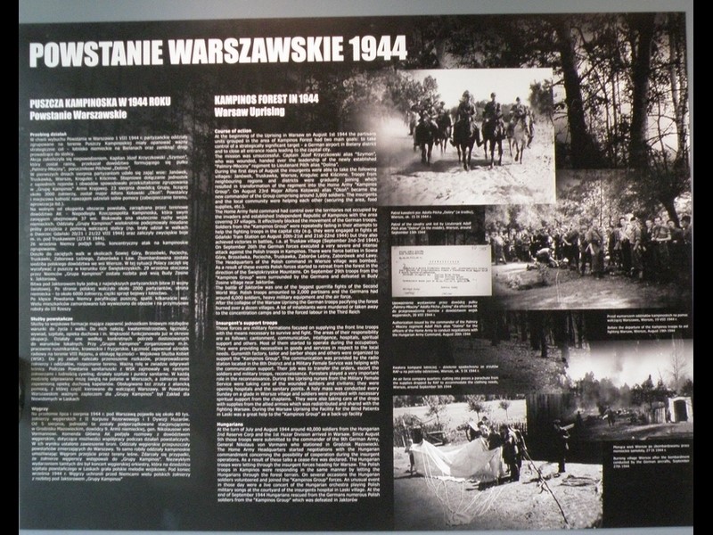 Istotny udział  w Powstaniu Warszawskim miały oddziały partyzanckie stacjonujące w Puszczy Kampinoskiej