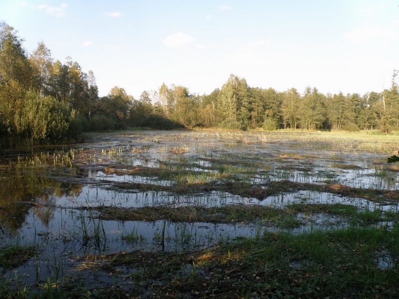 Cała okolica znajduje się wtedy pod wodą