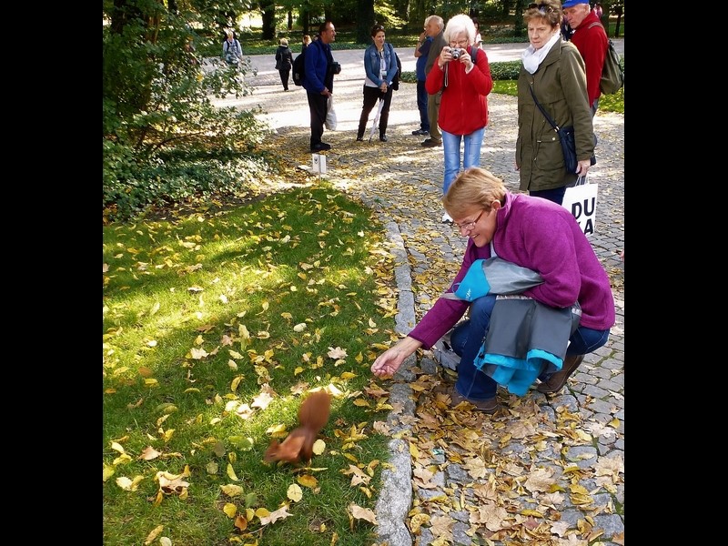 Fascynacja małym stworzonkiem